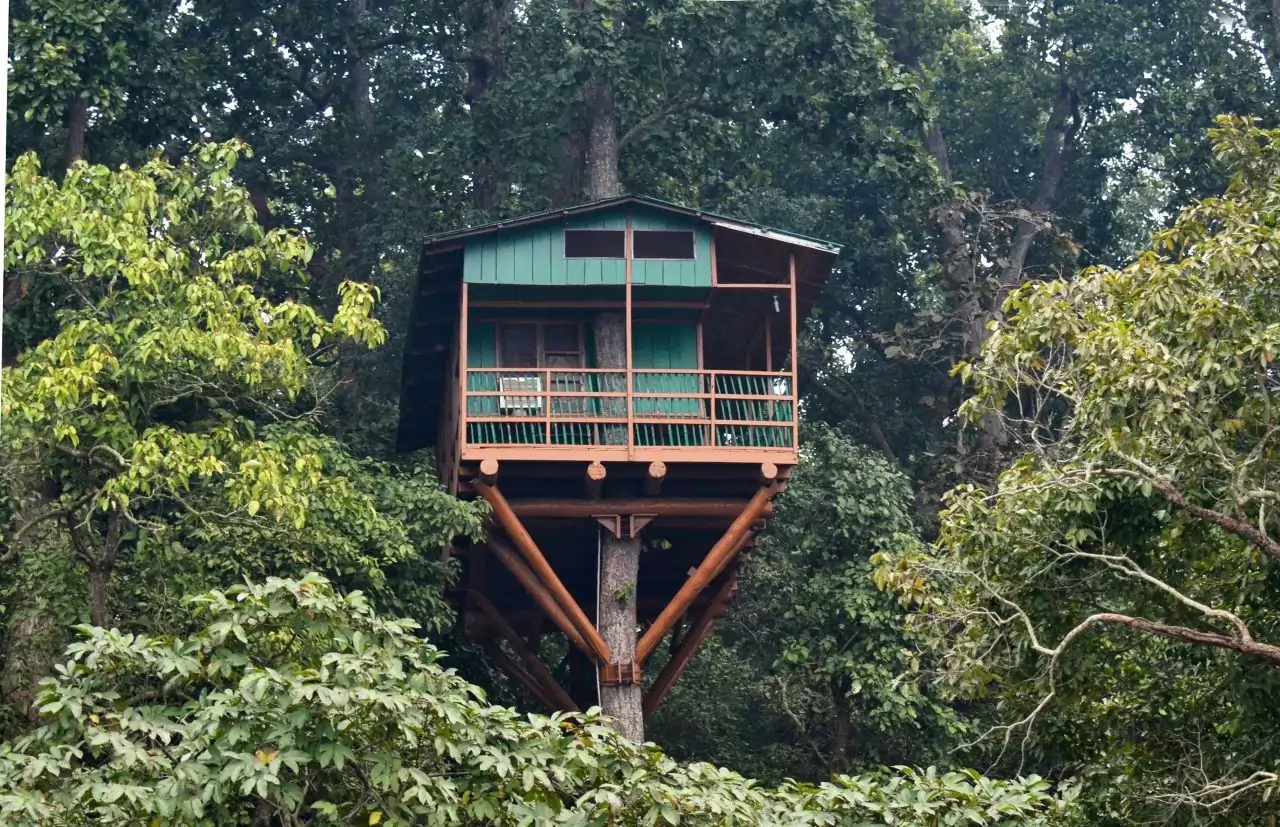 Pilibhit Tiger Reserve Chuka Beach