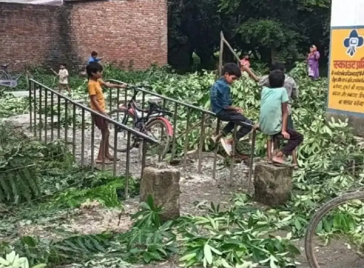 bahedi-school-avaidh-ped-katai-case