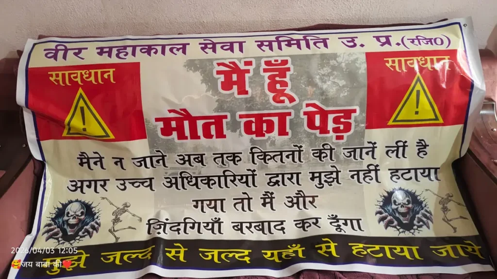 मौत का पेड़